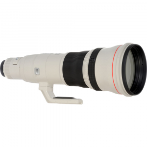Canon EF 800mm f/5.6L IS USM [2]