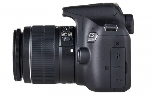 Canon EOS 2000D + EF-S 18-55mm IS II f/3.5-5.6 [2]