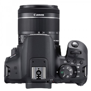 Canon EOS 850D + EF-S 18-55mm f/4-5.6 IS STM [2]