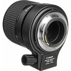 Canon MP-E 65mm f/2.8 1-5x Macro Photo (focus manual) [2]