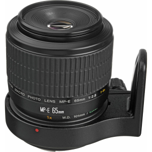 Canon MP-E 65mm f/2.8 1-5x Macro Photo (focus manual) [1]