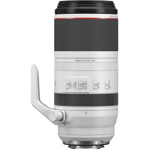 canon-rf-100-500mm-f4-5-7-1l-is-usm-obiectiv-mirrorless.jpg [4]