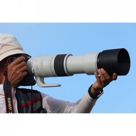 canon-rf-200-800mm-f6-3-9-is-usm.jpg [8]