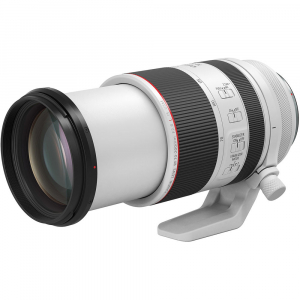 canon-rf-70-200mm-f2-8l-is-usm-obiectiv-profesional.jpg [3]