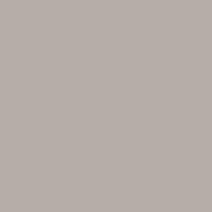 Colorama  Fundal hartie 2.72m x 11m - PLATINUM - PL [1]