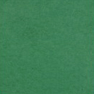 Studio/Lumini si accesorii - Dorr Fundal din hartie 2.72m x 11m, Photo Green (346)