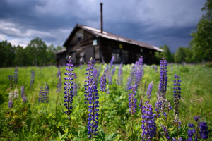nikon-af-s-20mm-f1-8g-ed.jpg [2]