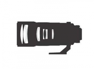 Nikon AF-S 300mm f/4 D IF-ED [1]