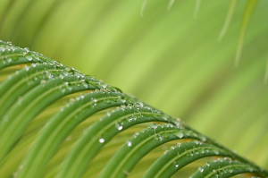 nikon-nikkor-z-24-200mm-f4-6-3-vr-obiectiv-mirrorless.jpg [10]