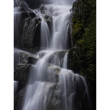 om-system-mzuiko-50-200mm-f2-8-is-pro-white-telefoto.jpg [9]