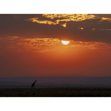 om-system-mzuiko-50-200mm-f2-8-is-pro-white-telefoto.jpg [6]