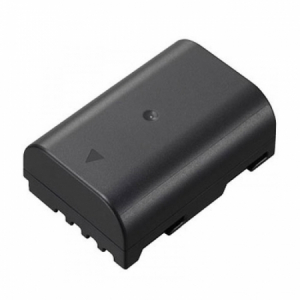 Accesorii Aparate Digitale - Panasonic DMW-BLF19E - acumulator aparat foto