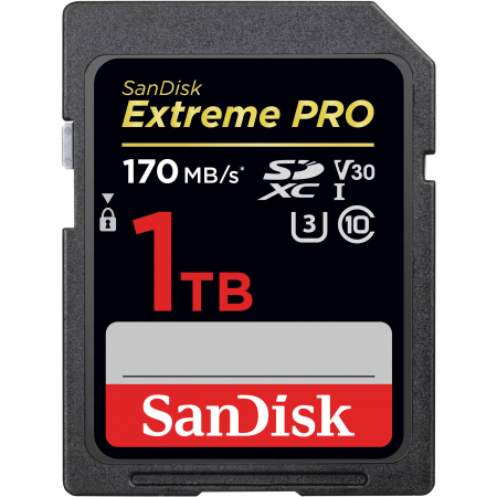 SanDisk 1TB Extreme PRO UHS-I SDXC, 170MB/s, V30, UHS-I (SDSDXXY-1024G-GN4IN), [1]
