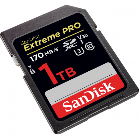 SanDisk 1TB Extreme PRO UHS-I SDXC, 170MB/s, V30, UHS-I (SDSDXXY-1024G-GN4IN), [2]
