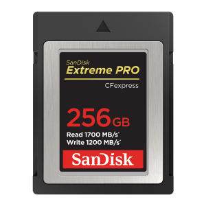 SanDisk Extreme PRO CFexpress Type B 256GB (SDCFE-256G-ANCIN) [0]