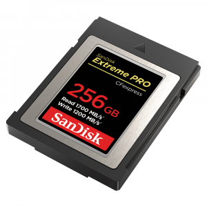 sandisk-extreme-pro-cfexpress-type-b-256gb.jpg [2]
