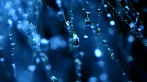 sigma-105mm-f2-8-dg-dn-macro-l-mount.jpg [9]