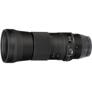 Sigma 150-600mm f/5-6.3 DG OS HSM Nikon - Contemporary + teleconvertor Sigma 1.4x TC-1401 [5]