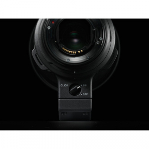 Sigma 500mm f/4 DG OS HSM Sport Nikon F [6]