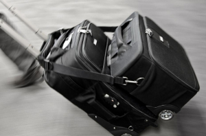 ThinkTank Airport Navigator - troller [2]