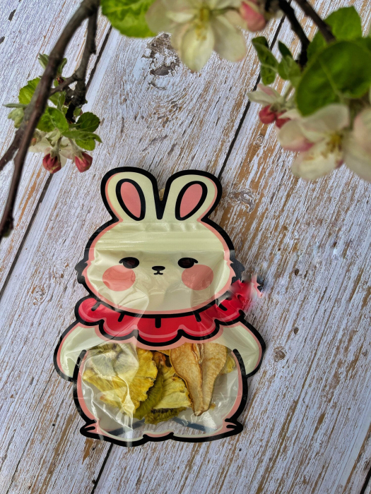 Urechilă - Mix de Fructe Sănătos pentru Copii | Fruit Snack [2]