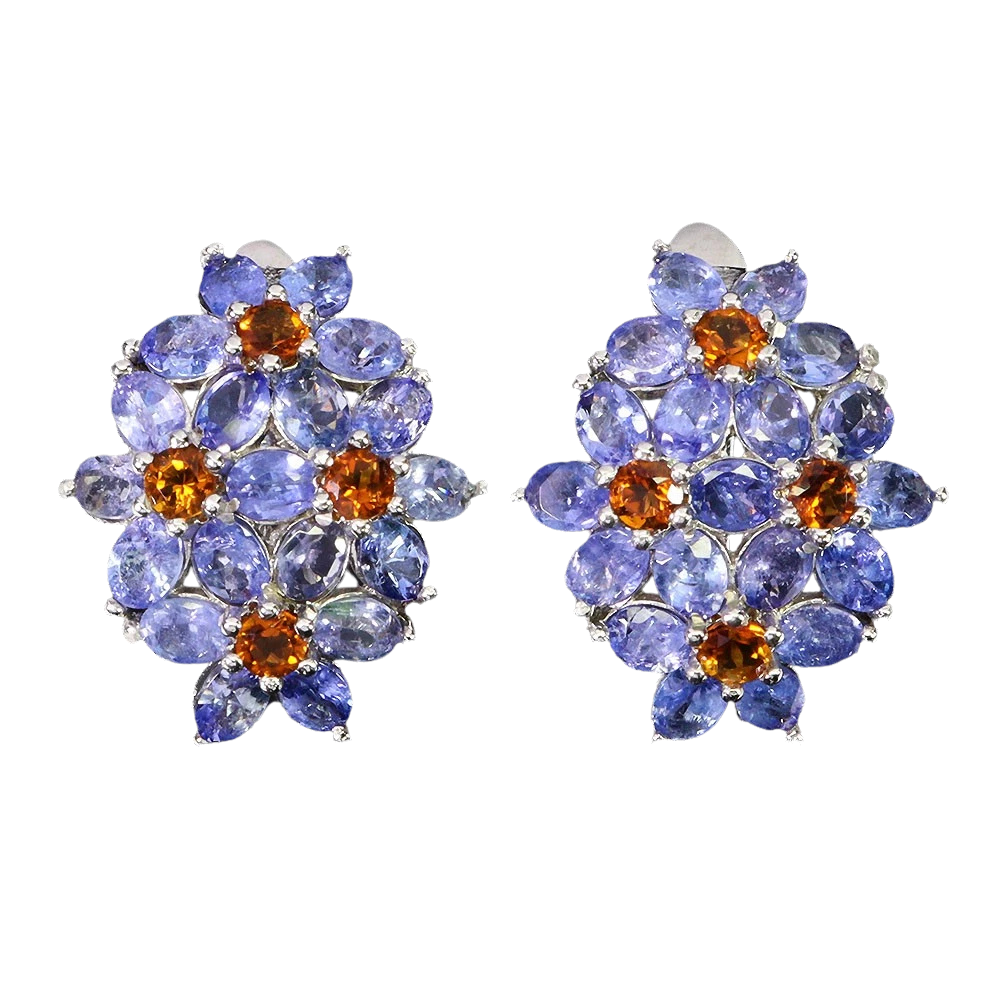 Cercei cu Pietre Semipretioase si Pietre Pretioase din Argint - Cercei argint tanzanit