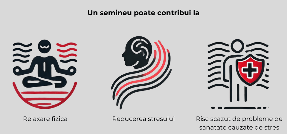 Beneficiile uimitoare ale semineelor