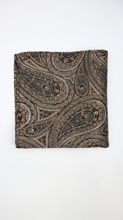 Batista din mătase naturală cu model paisley maro & negru [2]