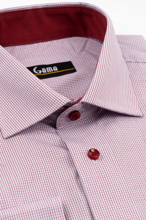 Camasa barbati regular fit bleu cu carouri visini [3]