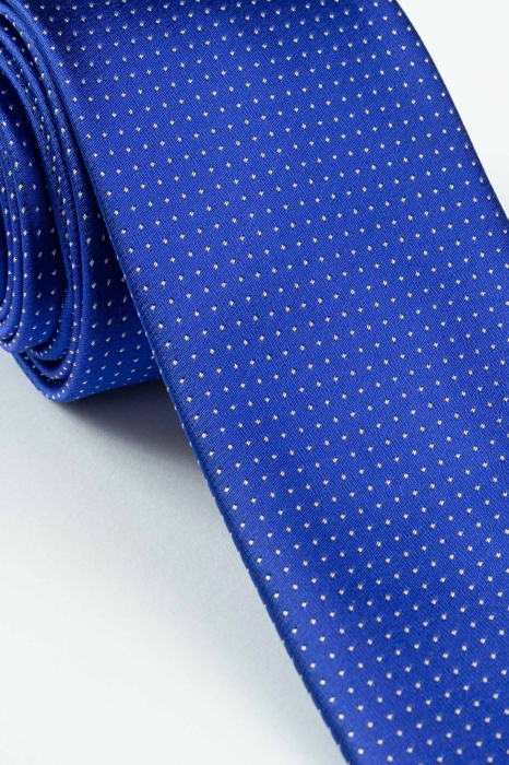 Cravata albastra cu picouri [2]
