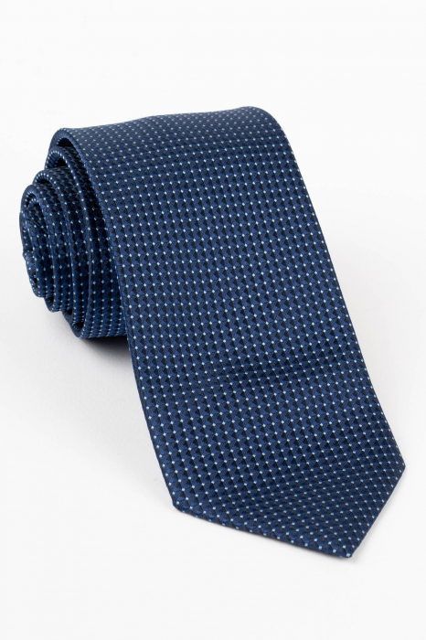 Cravata bleumarin cu picouri bleu [1]