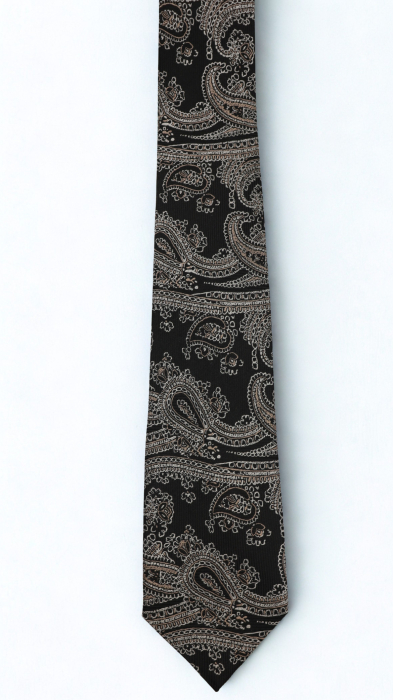 Cravată mătase naturală neagra cu model paisley argintiu si bej [2]
