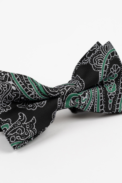 Papion GAMA Negru cu Model Paisley Alb și Verde [2]