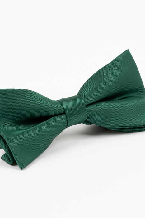 Papion GAMA Verde [2]