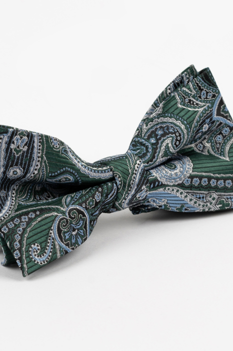 Papion GAMA Verde cu Paisley Albastru [2]