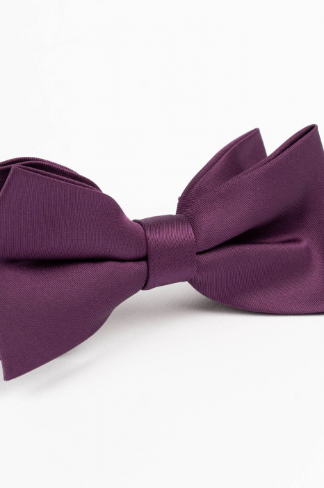 Papion mov pruna uni [2]