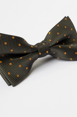 Papion negru cu buline galbene [2]