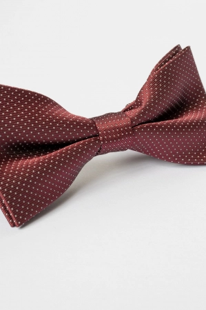 Papion visiniu cu picouri albe [2]