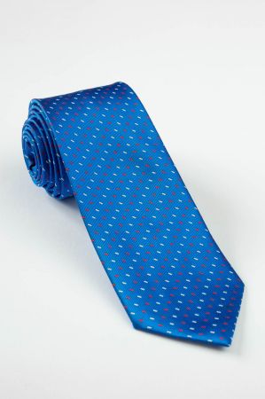 Cravata albastra cu linii [0]