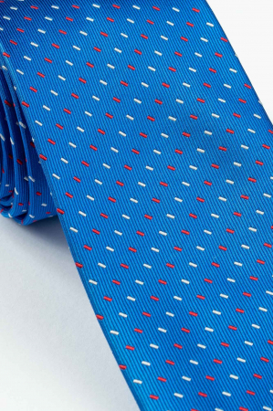 Cravata albastra cu linii [1]