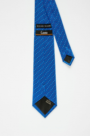 Cravata albastra cu linii [2]