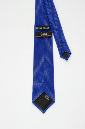 Cravata albastra cu picouri [2]