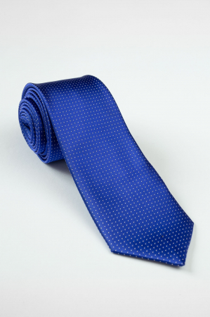 Cravata albastra cu picouri [0]