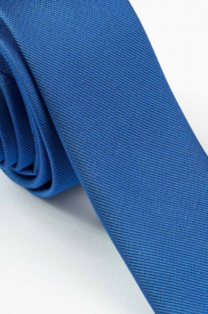 Cravata albastra ingusta [1]