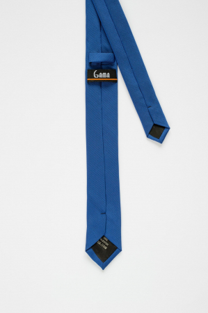 Cravata albastra ingusta [2]