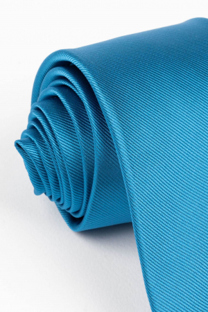 Cravata albastra uni [1]