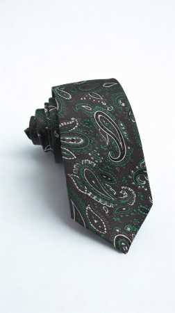 Cravate - Cravată mătase naturală neagră cu model paisley argintiu si verde