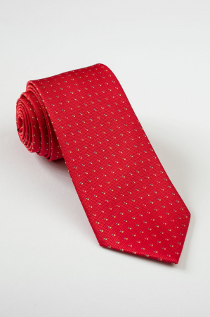 Cravata rosie cu picouri colorate [0]