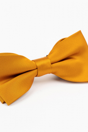 Papion coniac  uni [1]