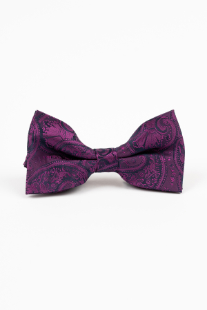 Accesorii - Papion GAMA Mov cu imprimeu paisley